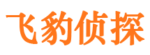 铁山港市调查公司